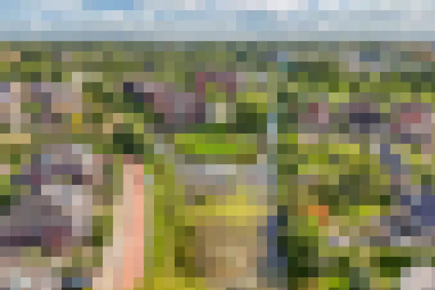 Raadssingel 22 Steenwijk thumbnail 58
