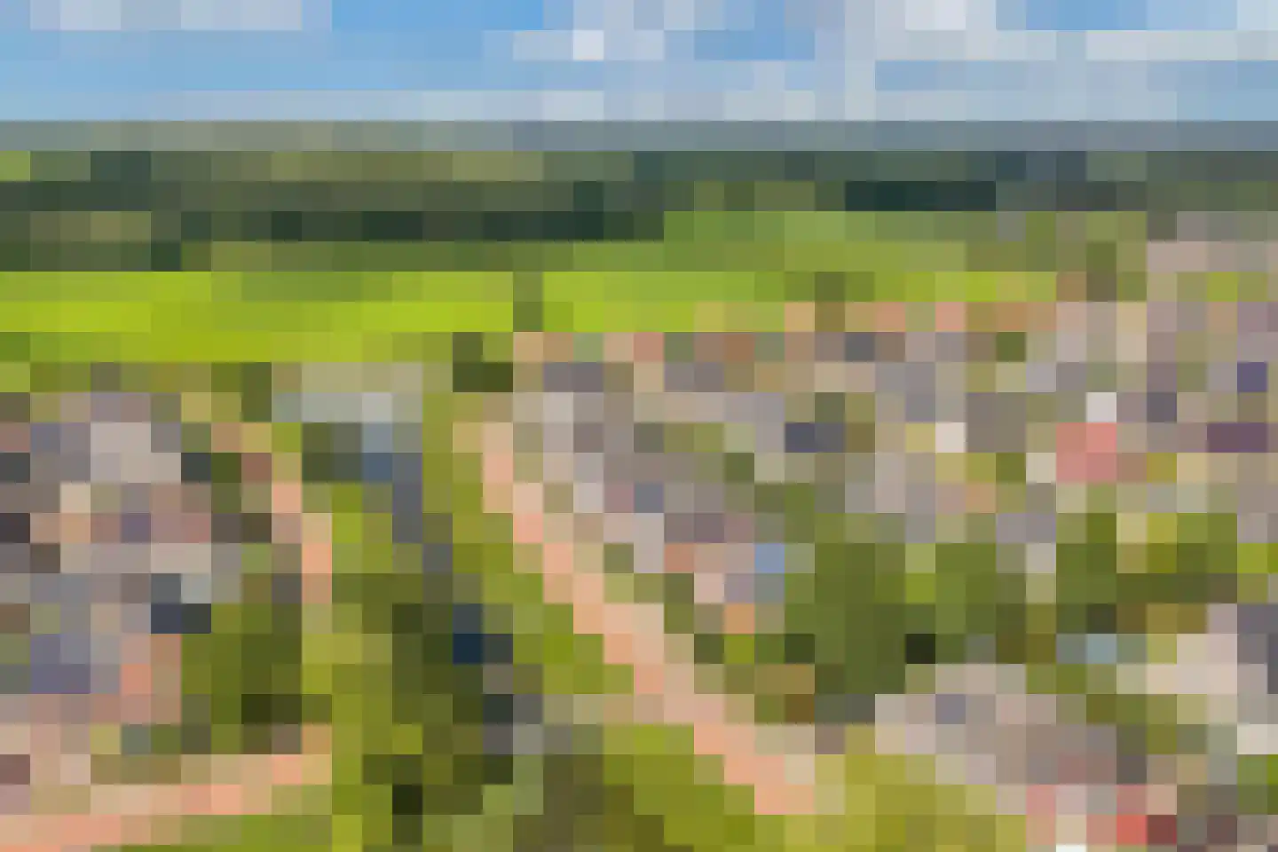 Raadssingel 22 Steenwijk thumbnail 59