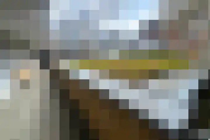 Raadstede 106 Nieuwegein thumbnail 31