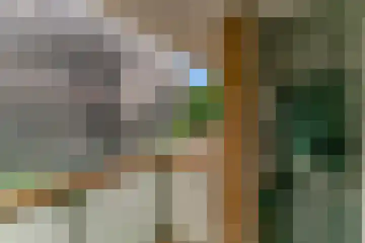 Raadstede 114 Nieuwegein thumbnail 19