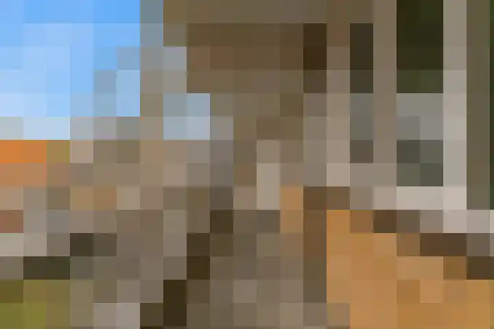 Raadstede 114 Nieuwegein thumbnail 30