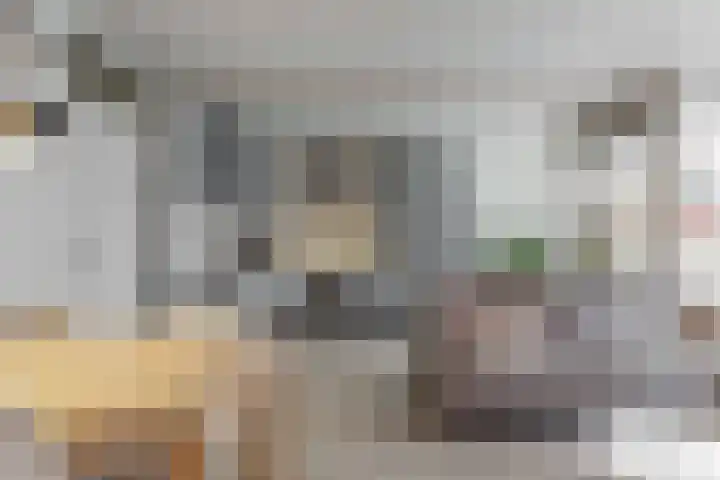 Raadstede 114 Nieuwegein thumbnail 4