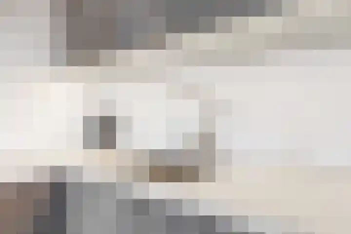 Raadstede 120 Nieuwegein thumbnail 8