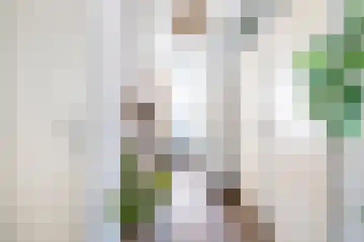 Raadstede 152 Nieuwegein thumbnail 27