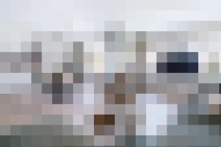 Raadstede 152 Nieuwegein thumbnail 4