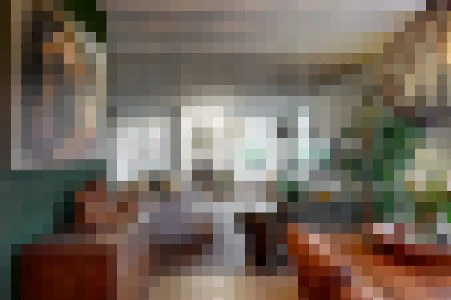 Raadsteeg 4 Rumpt thumbnail 16