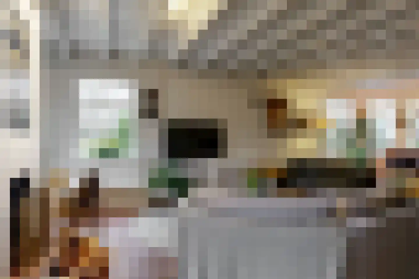 Raadsteeg 4 Rumpt thumbnail 19