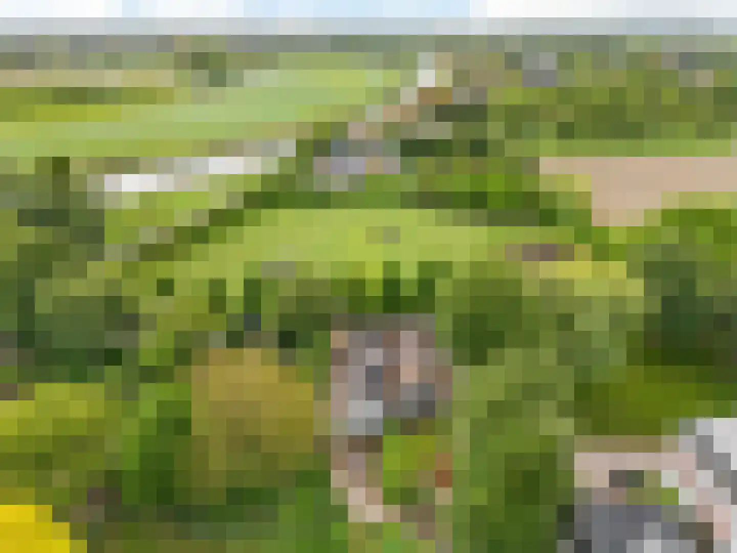 Raadsteeg 4 Rumpt foto 2