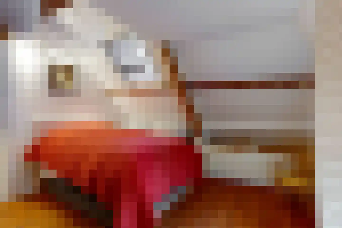Raadsteeg 4 Rumpt thumbnail 24