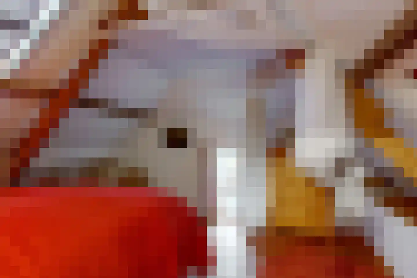 Raadsteeg 4 Rumpt thumbnail 25