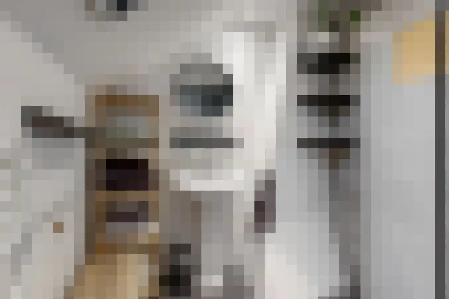 Raadsteeg 4 Rumpt thumbnail 27