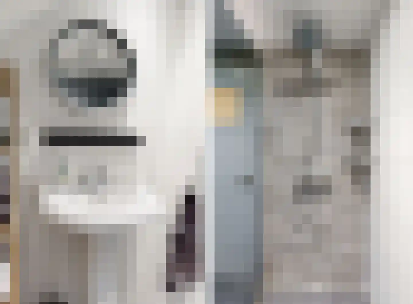 Raadsteeg 4 Rumpt thumbnail 28