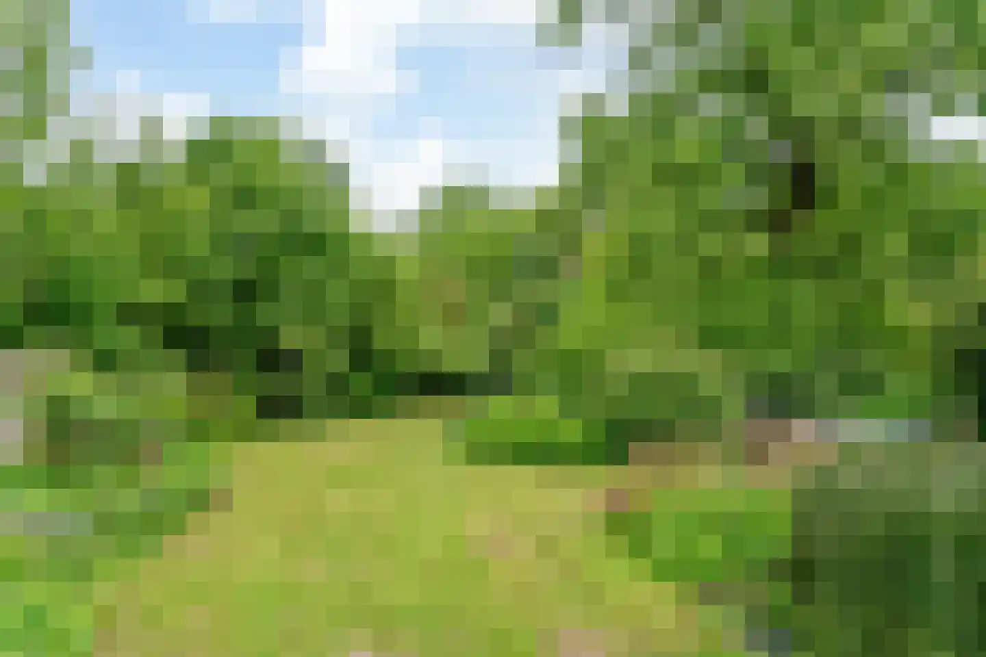 Raadsteeg 4 Rumpt foto 3