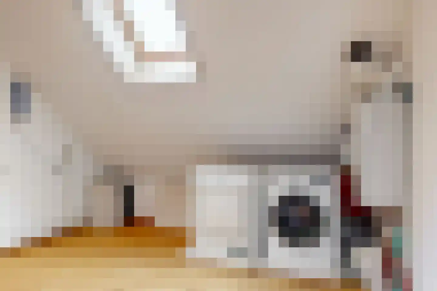 Raadsteeg 4 Rumpt thumbnail 30