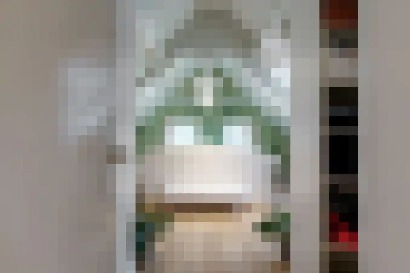 Raadsteeg 4 Rumpt thumbnail 31