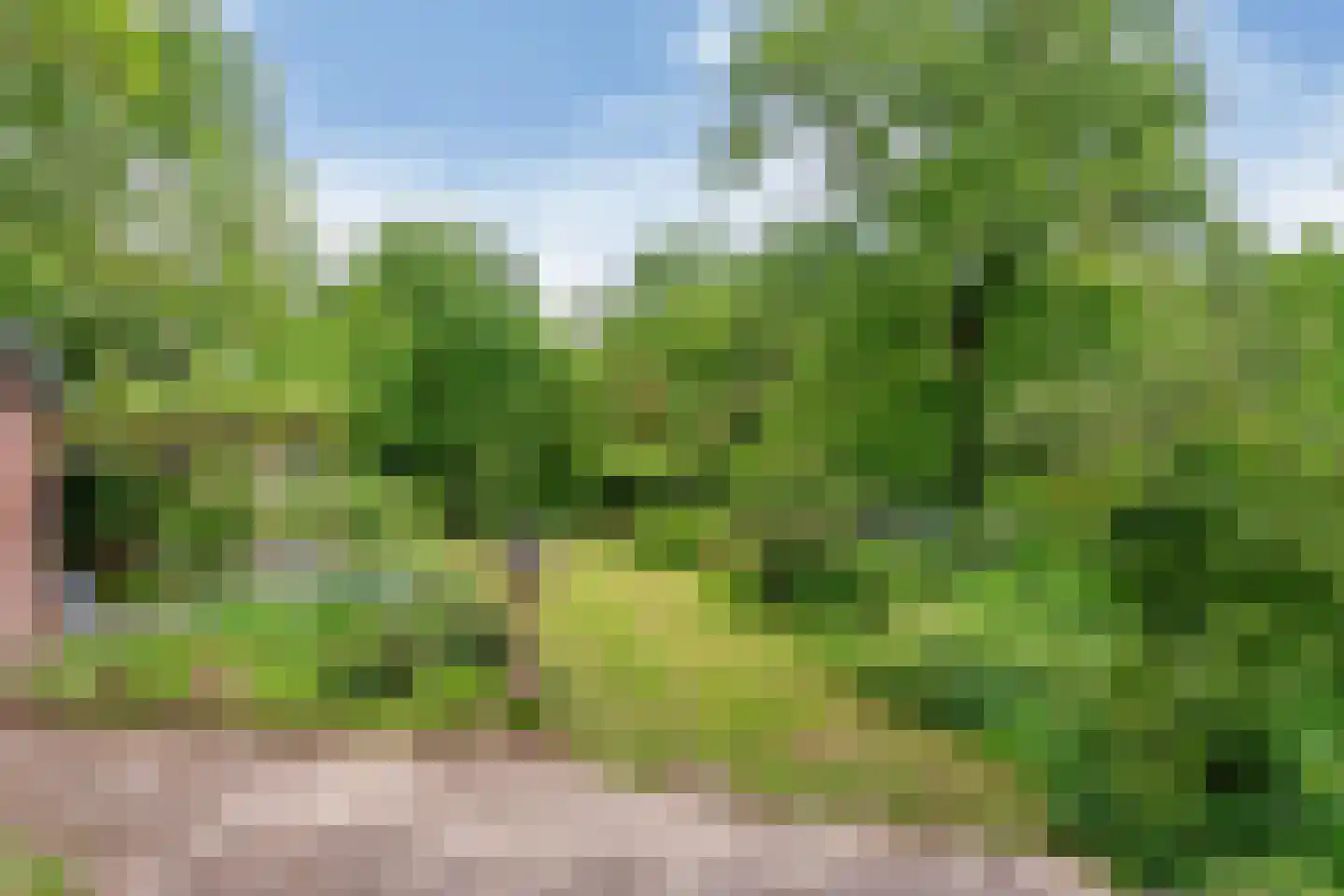 Raadsteeg 4 Rumpt thumbnail 38