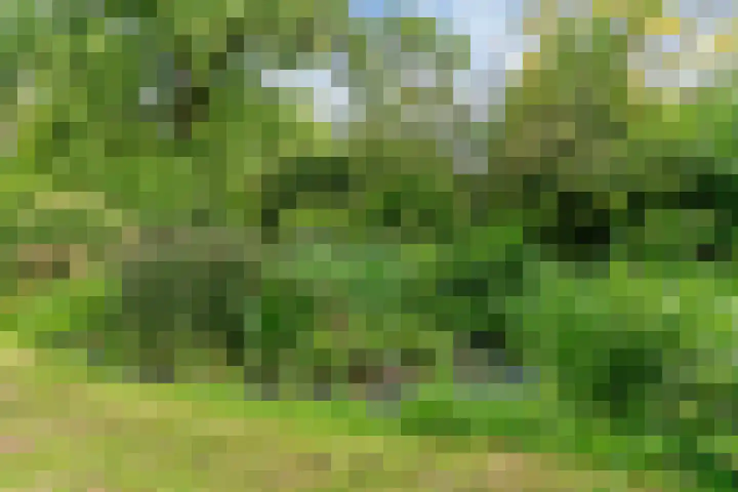 Raadsteeg 4 Rumpt thumbnail 40