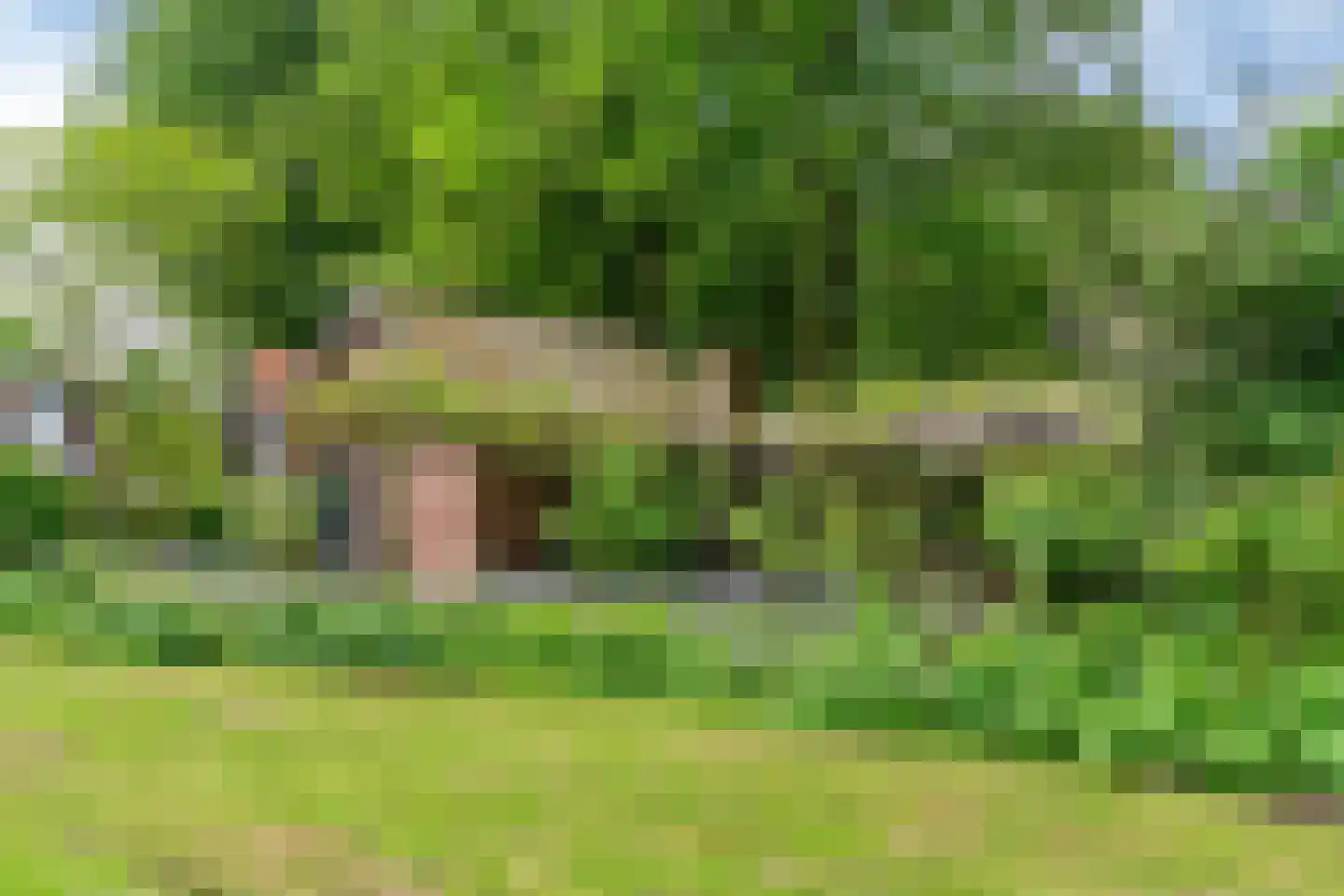 Raadsteeg 4 Rumpt thumbnail 44