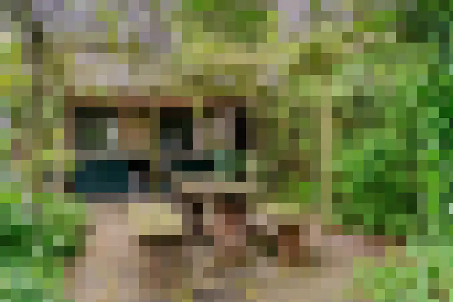 Raadsteeg 4 Rumpt thumbnail 45