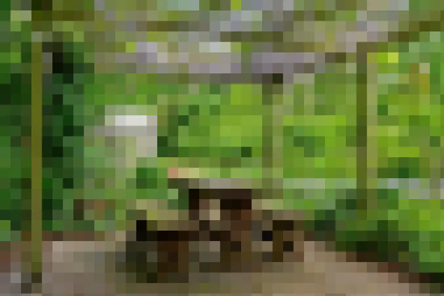 Raadsteeg 4 Rumpt thumbnail 46