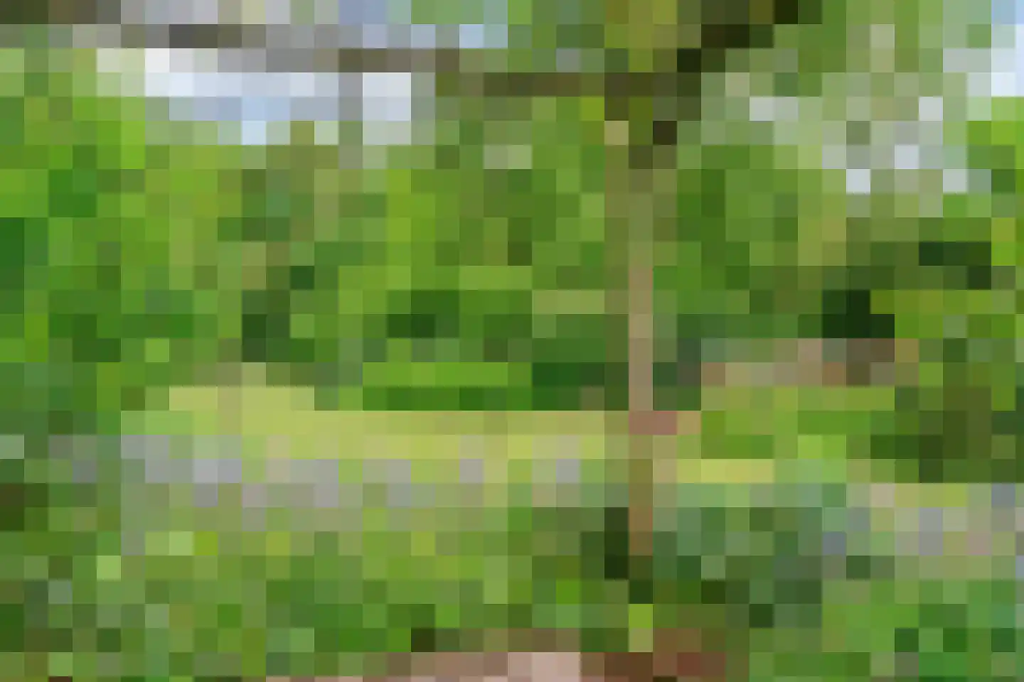 Raadsteeg 4 Rumpt thumbnail 47