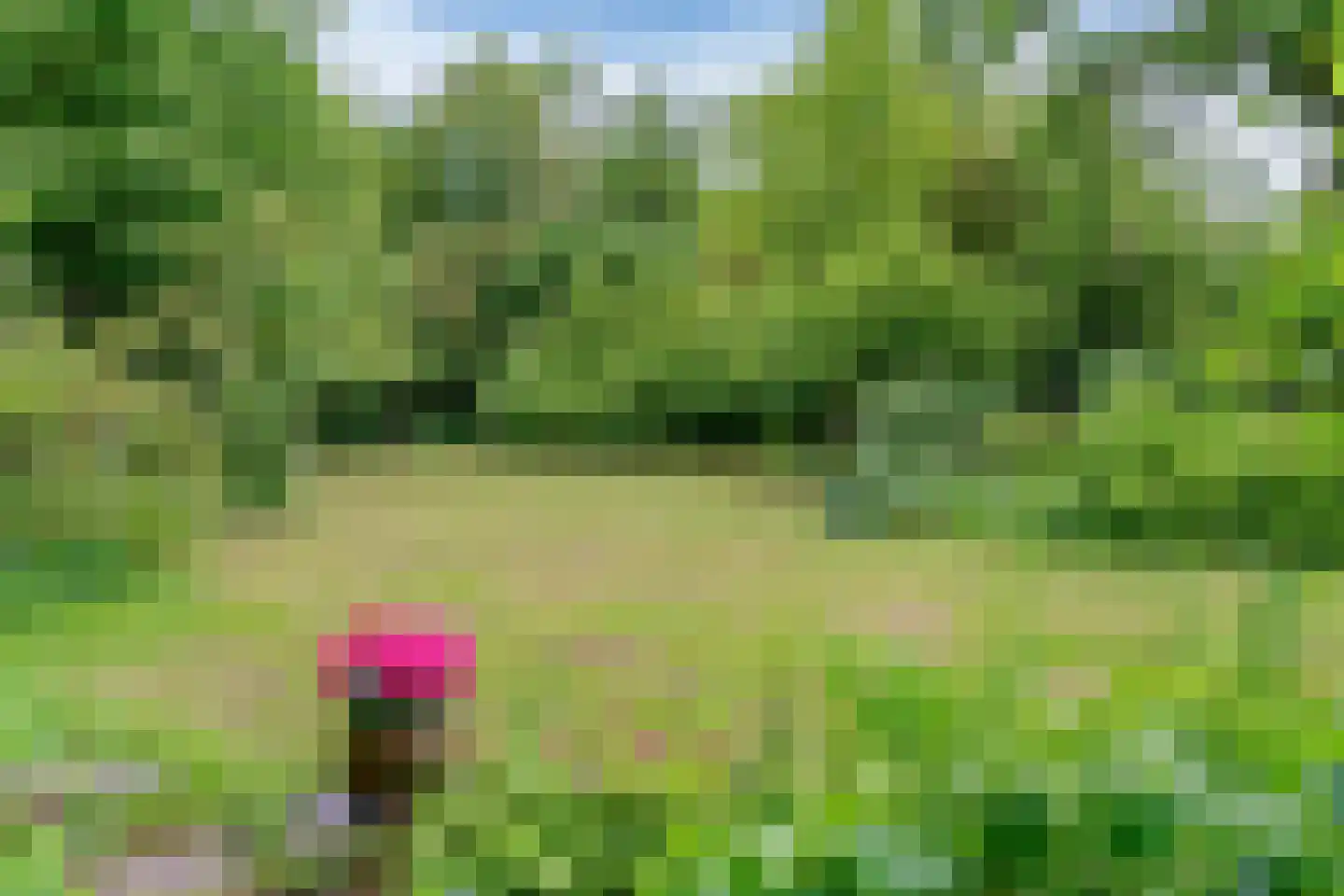 Raadsteeg 4 Rumpt thumbnail 48