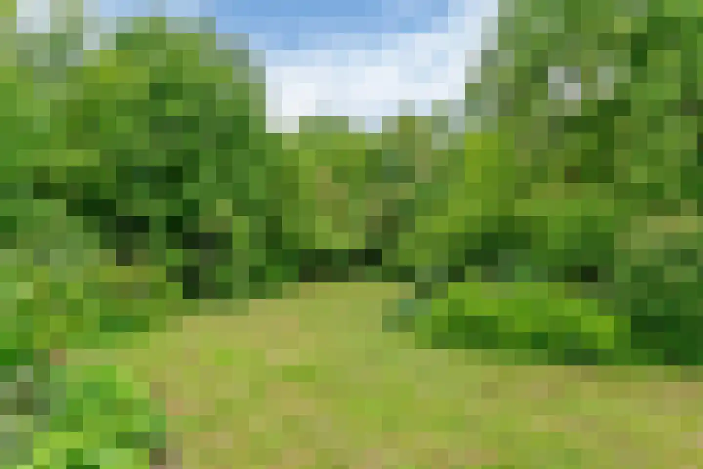 Raadsteeg 4 Rumpt thumbnail 49