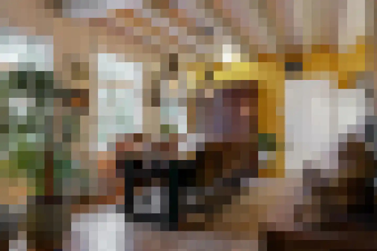 Raadsteeg 4 Rumpt thumbnail 5