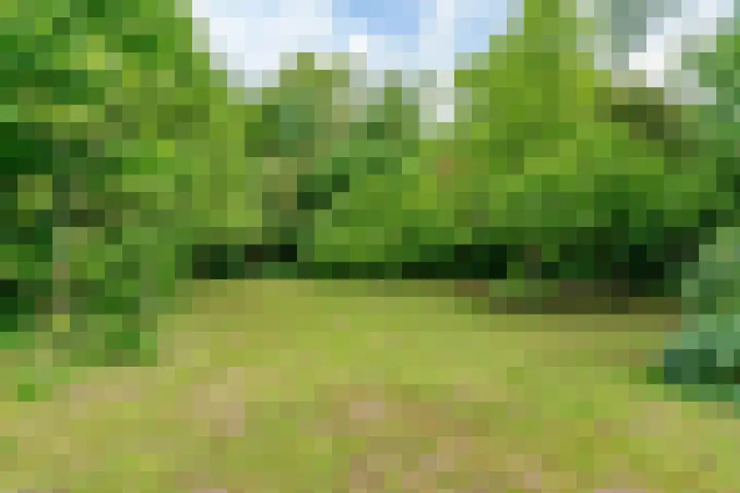 Raadsteeg 4 Rumpt thumbnail 50