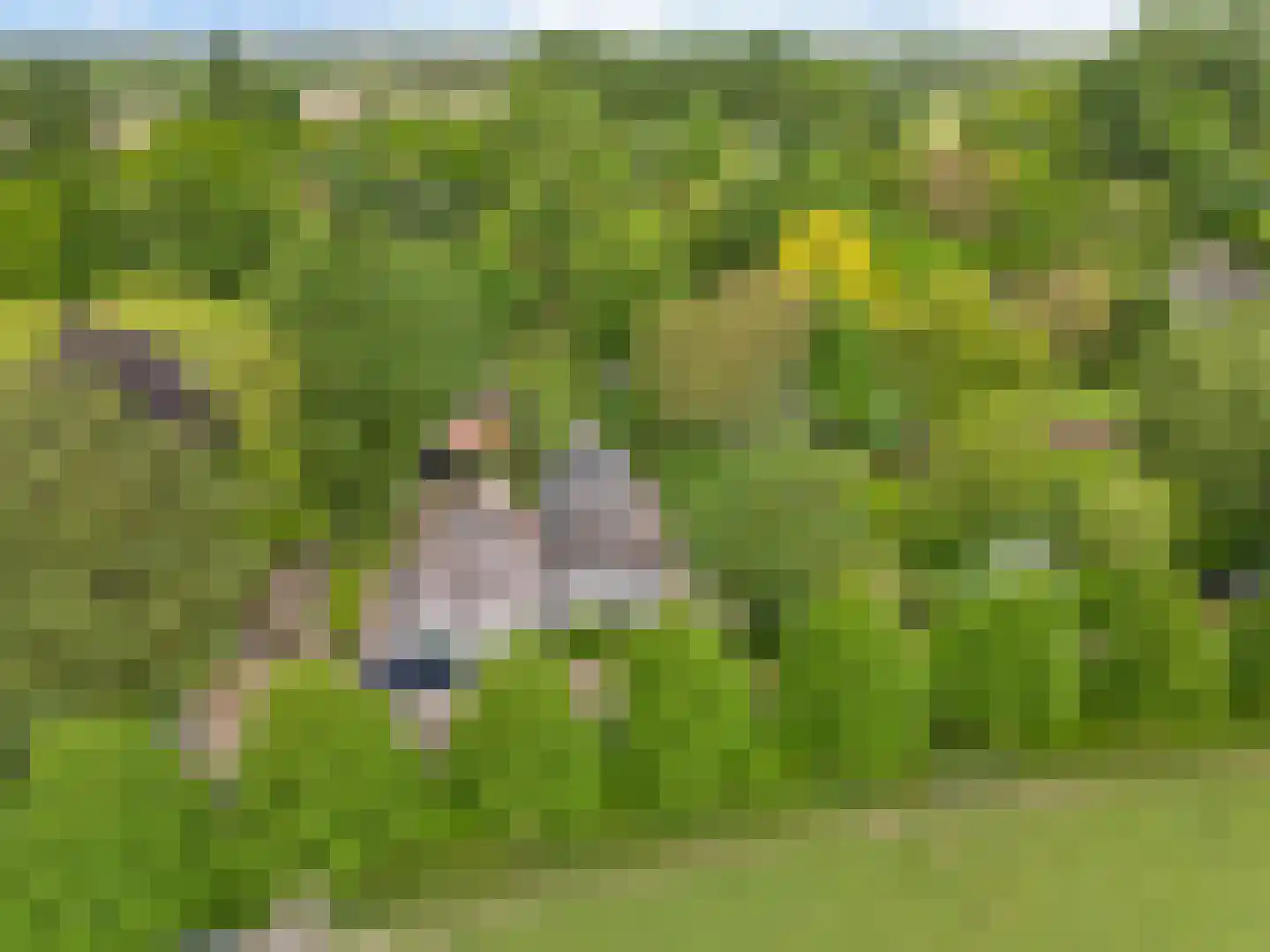 Raadsteeg 4 Rumpt thumbnail 51
