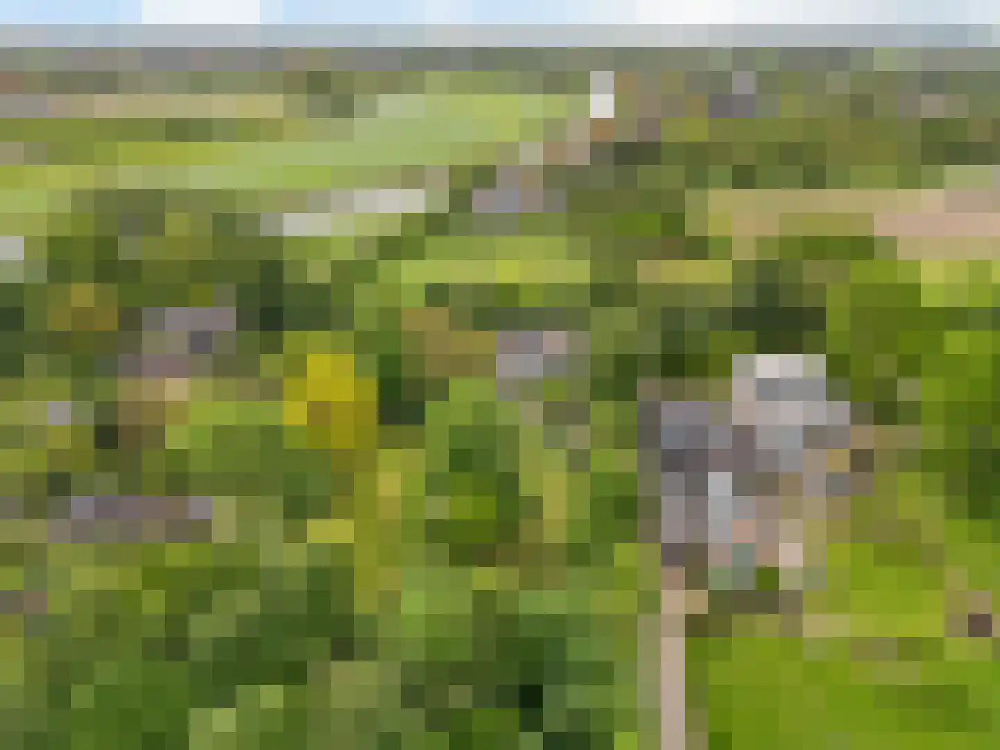 Raadsteeg 4 Rumpt thumbnail 53