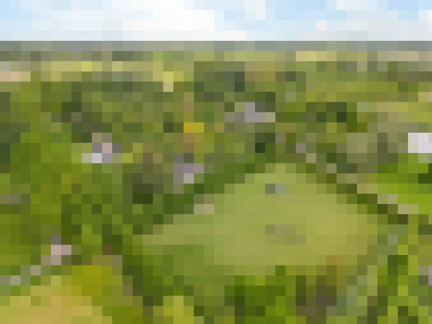 Raadsteeg 4 Rumpt thumbnail 54