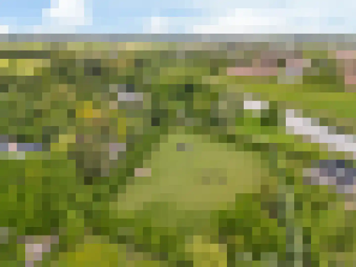 Raadsteeg 4 Rumpt thumbnail 55