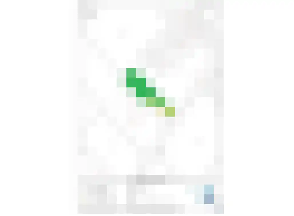 Raadsteeg 4 Rumpt thumbnail 62