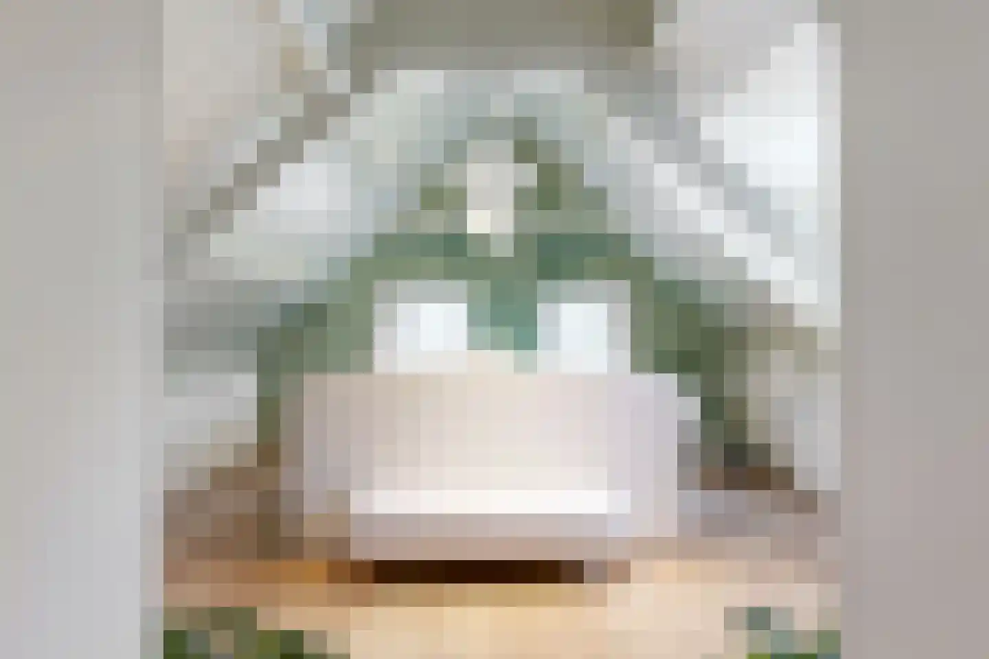 Raadsteeg 4 Rumpt thumbnail 7