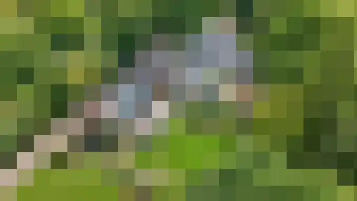 Raadsteeg 8 Rumpt