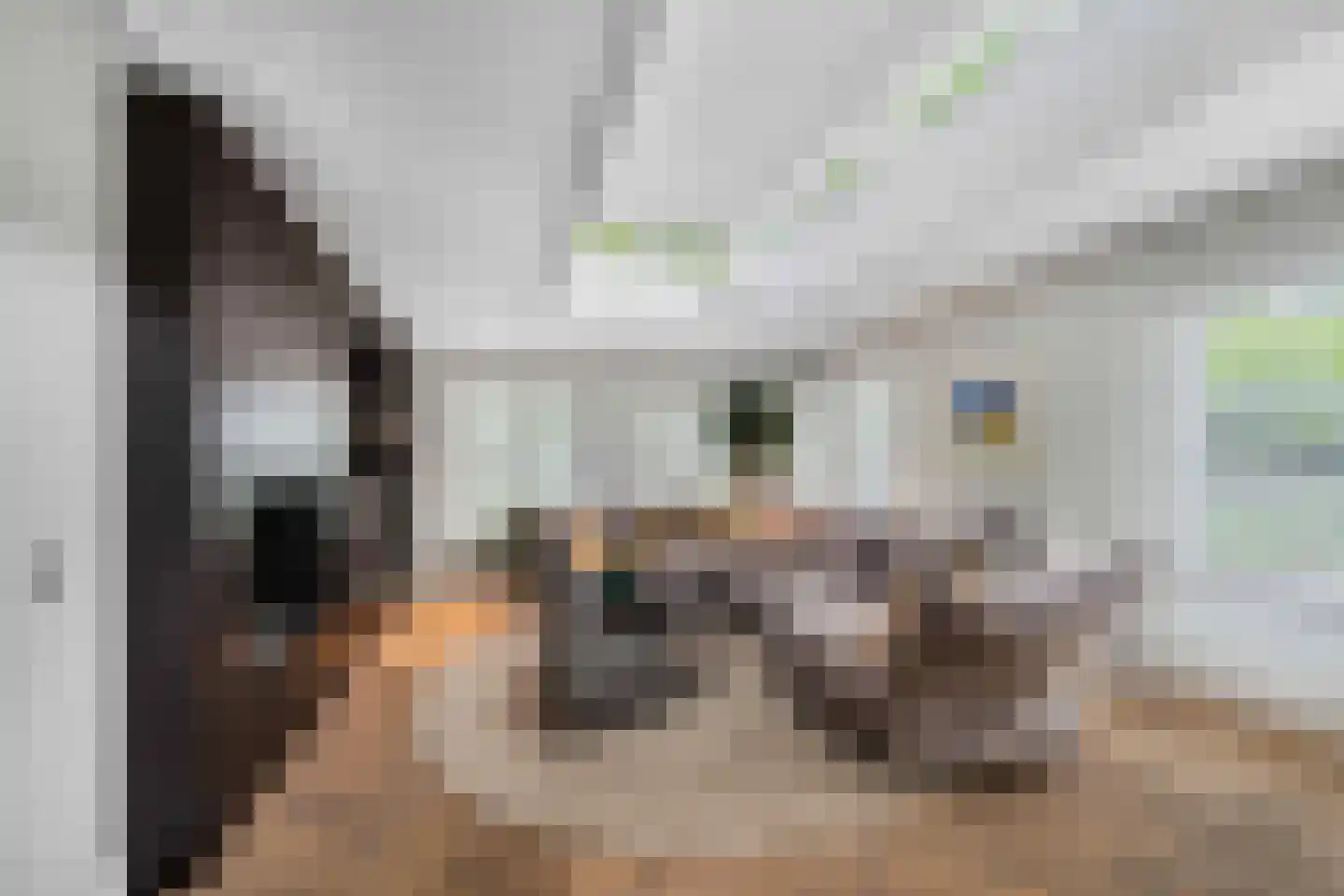 Raadsteeg 8 Rumpt thumbnail 12