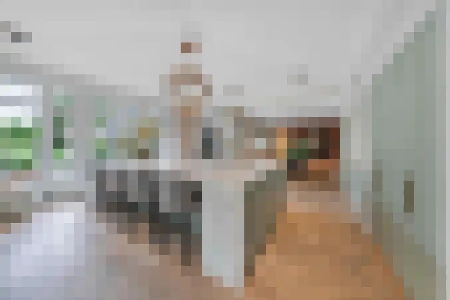 Raadsteeg 8 Rumpt thumbnail 15