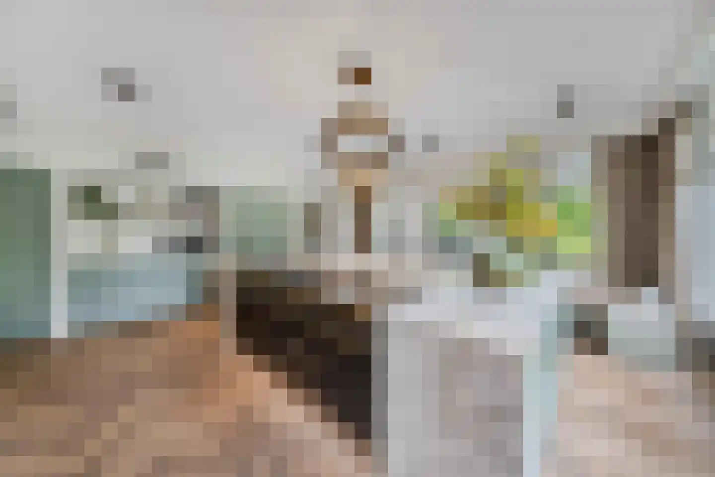 Raadsteeg 8 Rumpt thumbnail 17