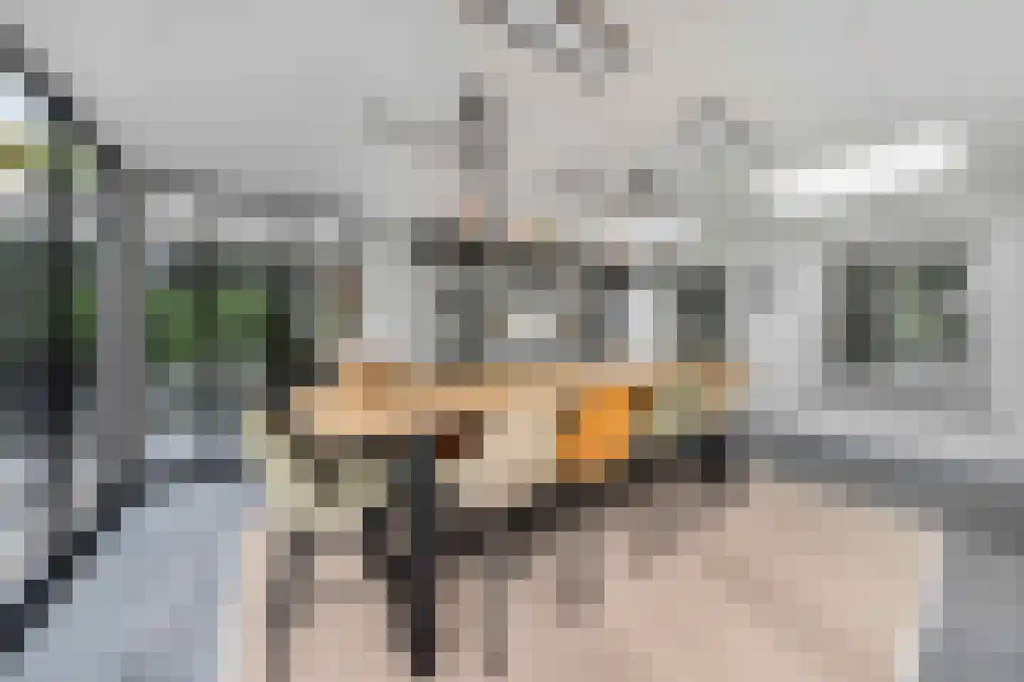 Raadsteeg 8 Rumpt thumbnail 20