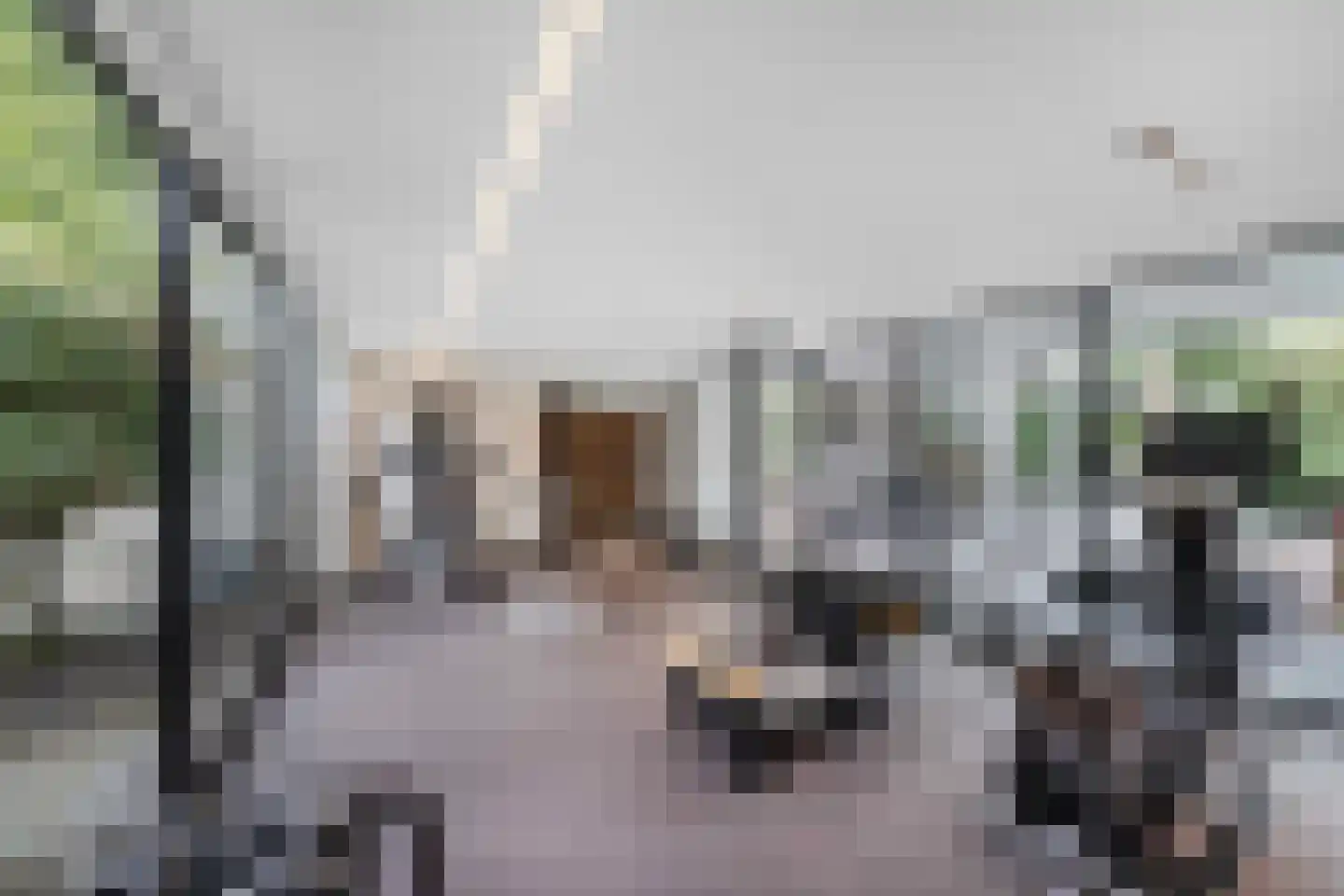 Raadsteeg 8 Rumpt thumbnail 22