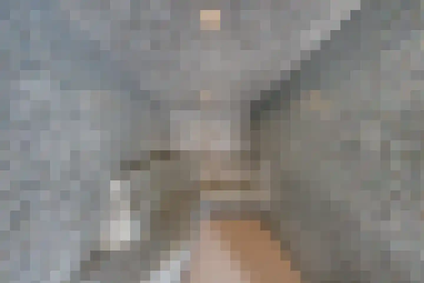Raadsteeg 8 Rumpt thumbnail 28