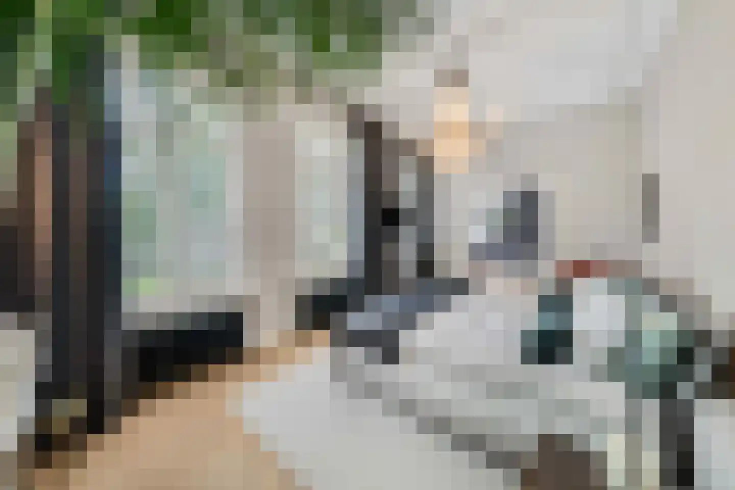 Raadsteeg 8 Rumpt thumbnail 30
