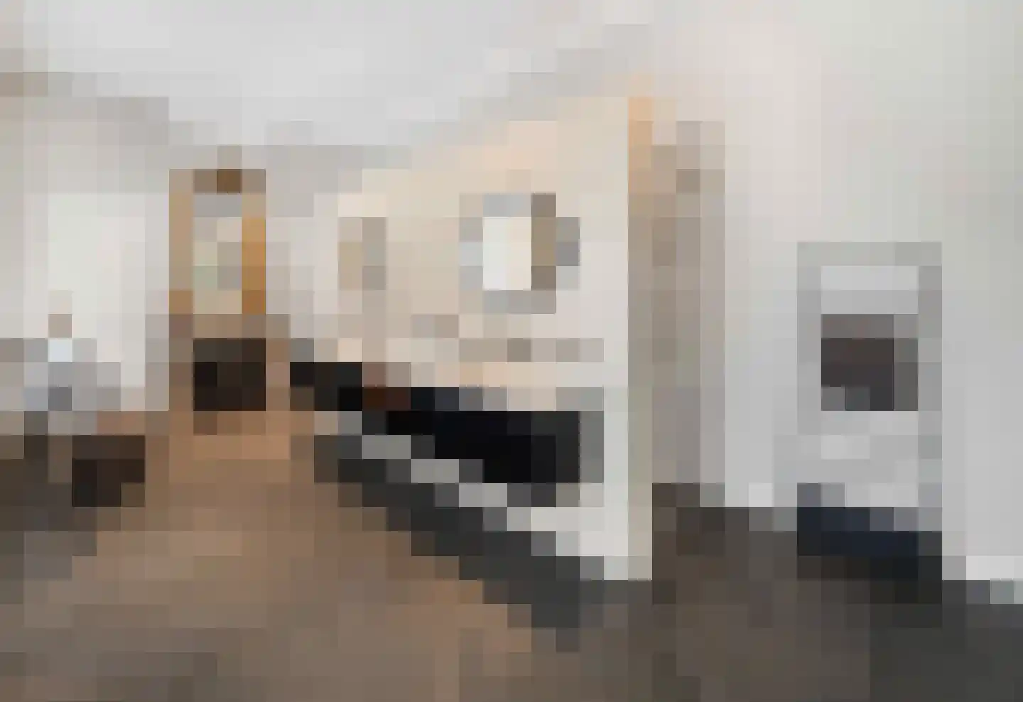 Raadsteeg 8 Rumpt thumbnail 34