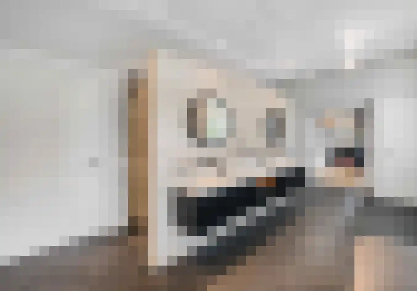 Raadsteeg 8 Rumpt thumbnail 35