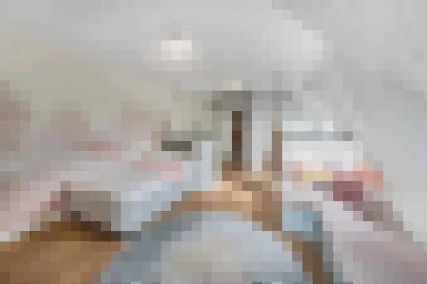 Raadsteeg 8 Rumpt thumbnail 37