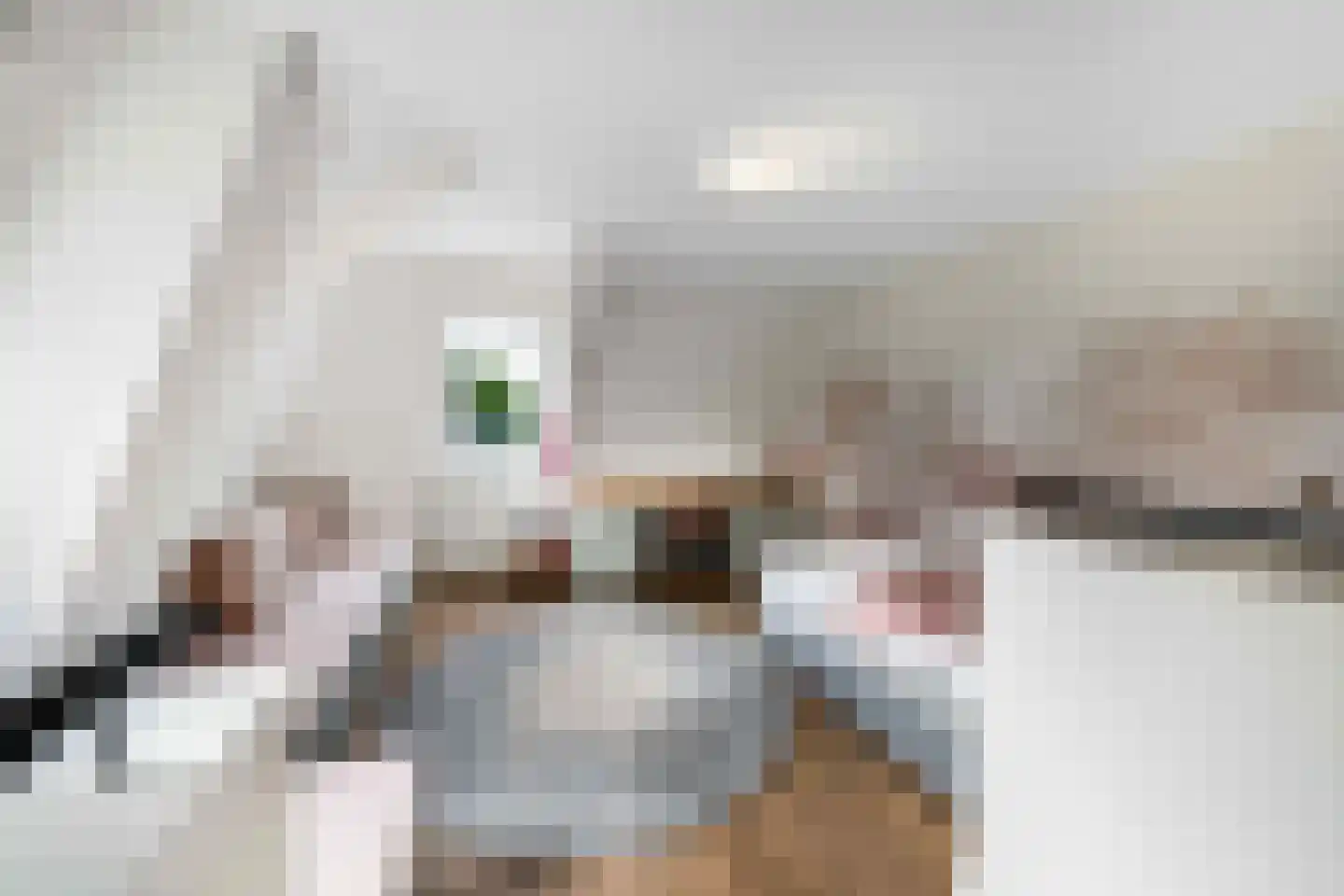 Raadsteeg 8 Rumpt thumbnail 38