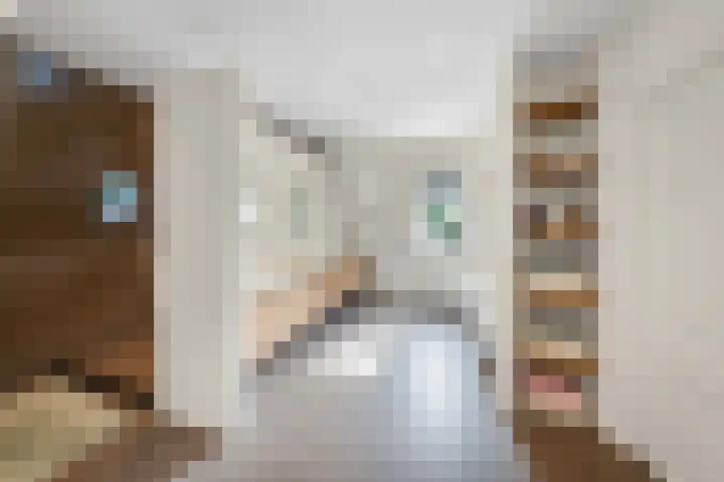Raadsteeg 8 Rumpt thumbnail 39