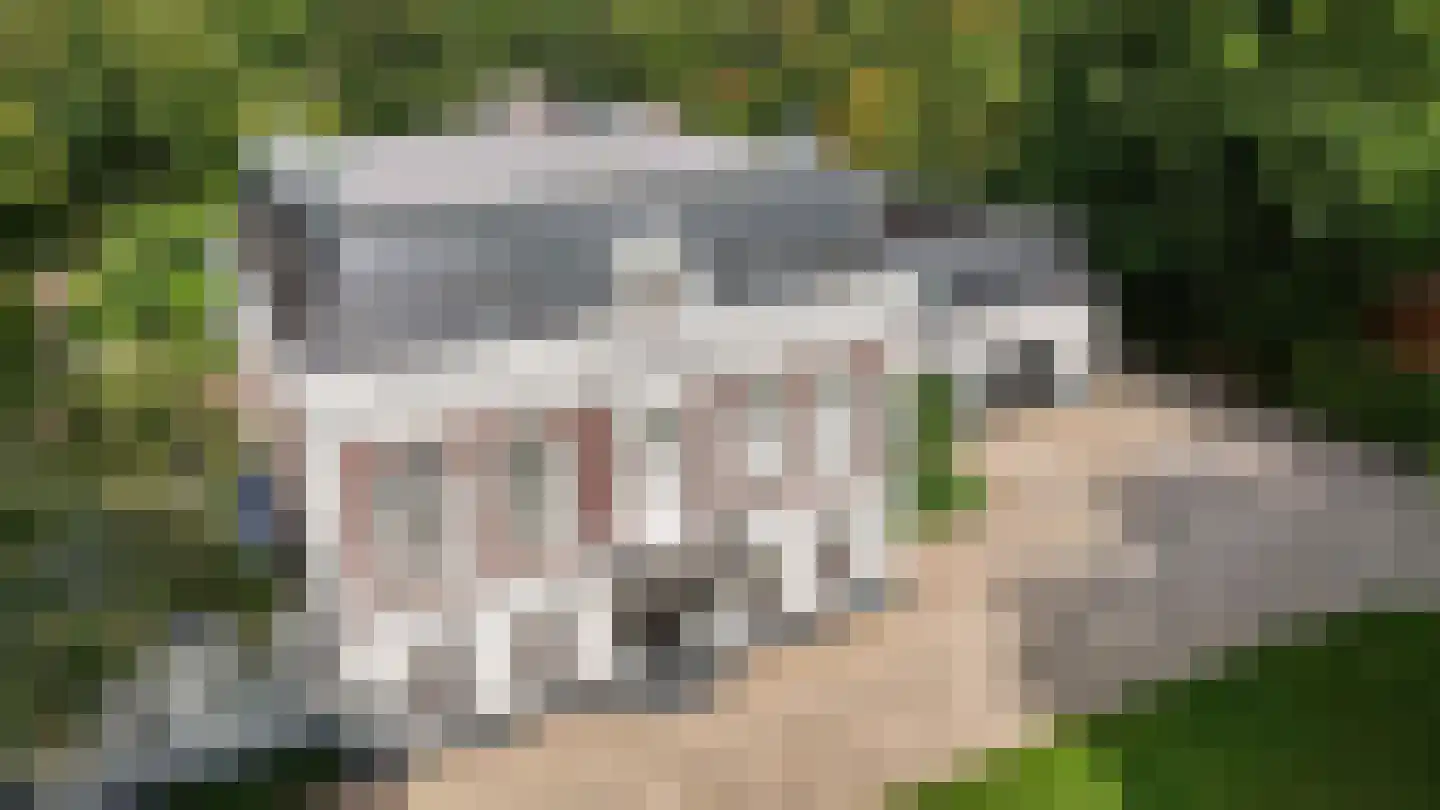Raadsteeg 8 Rumpt thumbnail 4