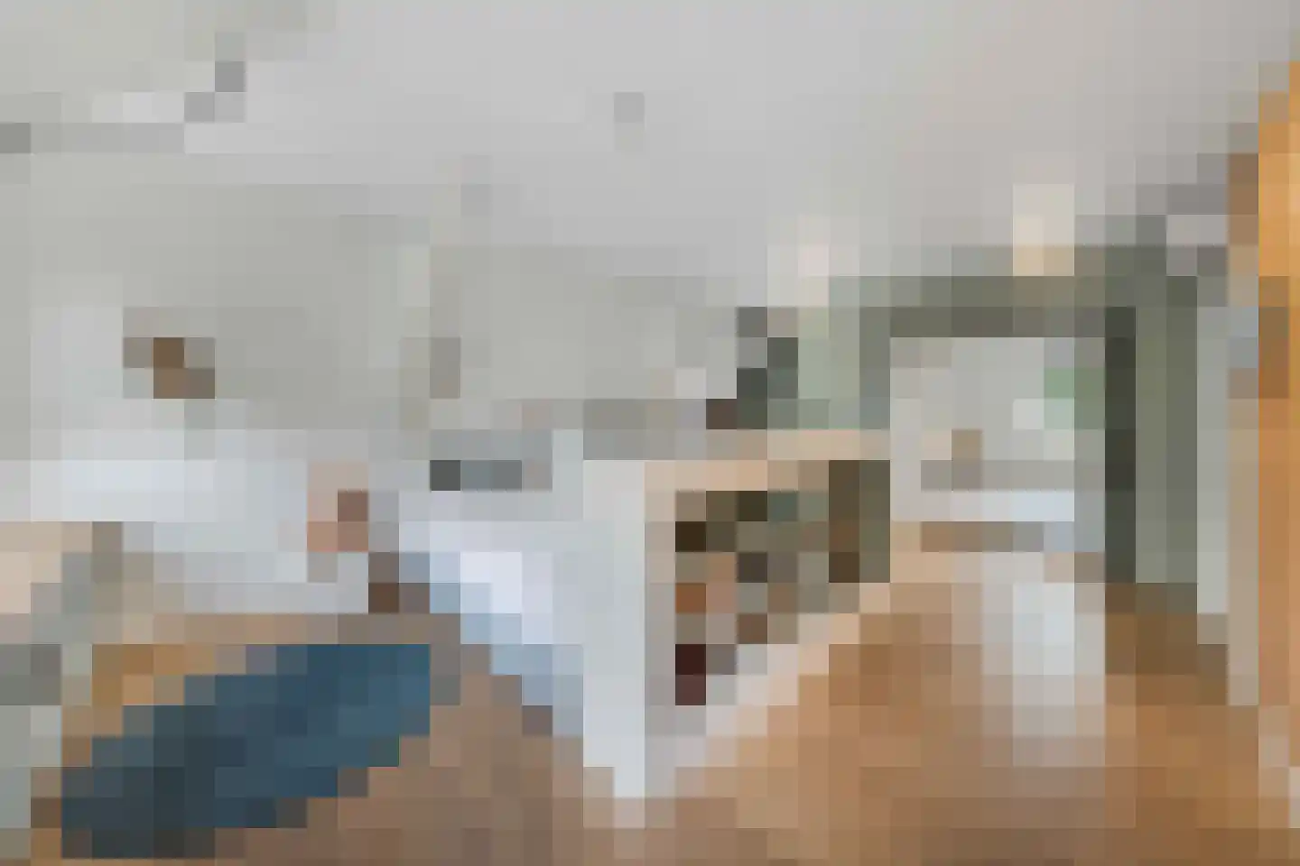 Raadsteeg 8 Rumpt thumbnail 40